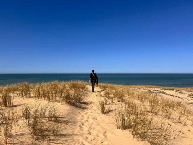 From Bordeaux: Cap Ferret Peninsula Private Tour, Ocean and Oyster Village - What Makes This Tour Stand Out?