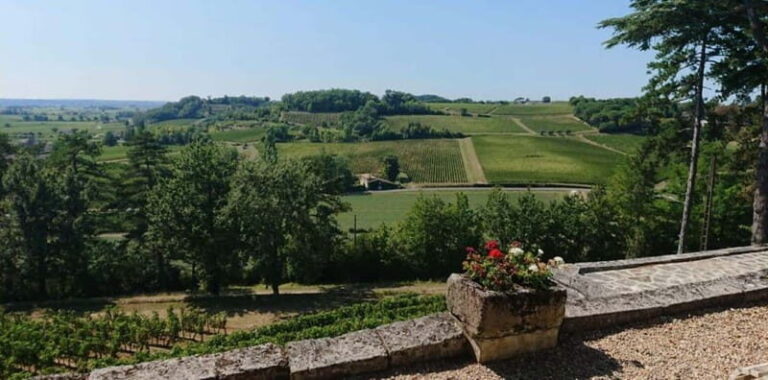 From Bordeaux: Private Tour in the Chateaux of Saint-Émilion - A Closer Look at the Experience