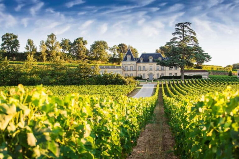 From Bordeaux: Private Wine Tour to Saint-Émilion - Why We Think This Tour Offers Great Value