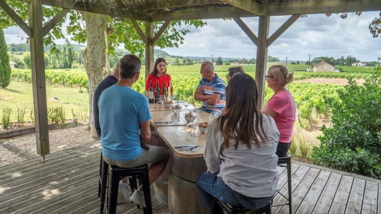 From Bordeaux: St-Emilion Day Tour with Tastings and Lunch - What Sets This Tour Apart?