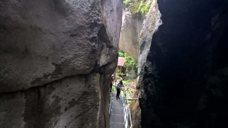 From Brasov: Day Trip to the Seven Ladders Canyon - What to Expect on the Day Trip