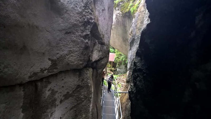 From Brasov: Day Trip to the Seven Ladders Canyon - What to Expect on the Day Trip