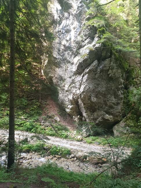 From Brasov : Hiking in Piatra Craiului National Park - Why This Tour Is Worth Considering