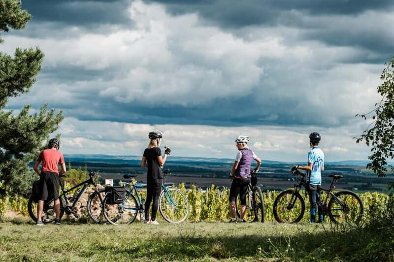From Brno: Moravian Tuscany E-Bike Tour with Wine Tasting - What’s Included and What to Consider