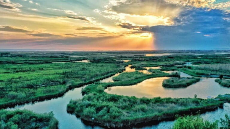 From Bucharest: Danube Delta Private Day Trip with Boat Tour - Practical Tips and Considerations