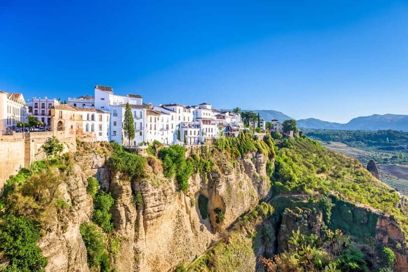 From Cádiz: Ronda Premium Private Day Tour with Wine Tasting - Wine Tasting at Bodegas Excelencia