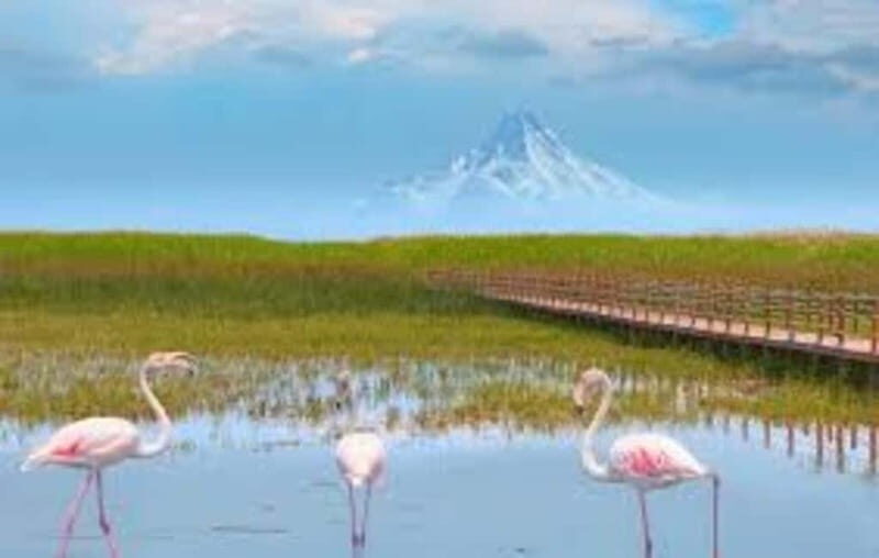 From Cappadocia: Sultan Marshes Area & Waterfall Tour - Transport, Timing, and Overall Value