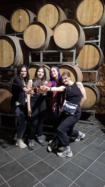 From Catania: Etna Trekking & Wine Tasting Tour with Pickup - The Itinerary Breakdown: What to Expect on Your Day