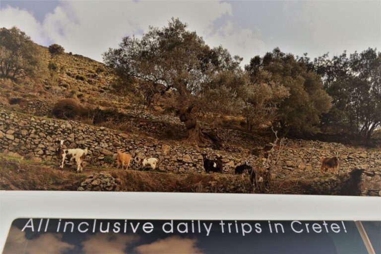 From Chania: Elafonisi & Falasarna Private Tour with snacks - Why This Tour Shines for the Right Traveler