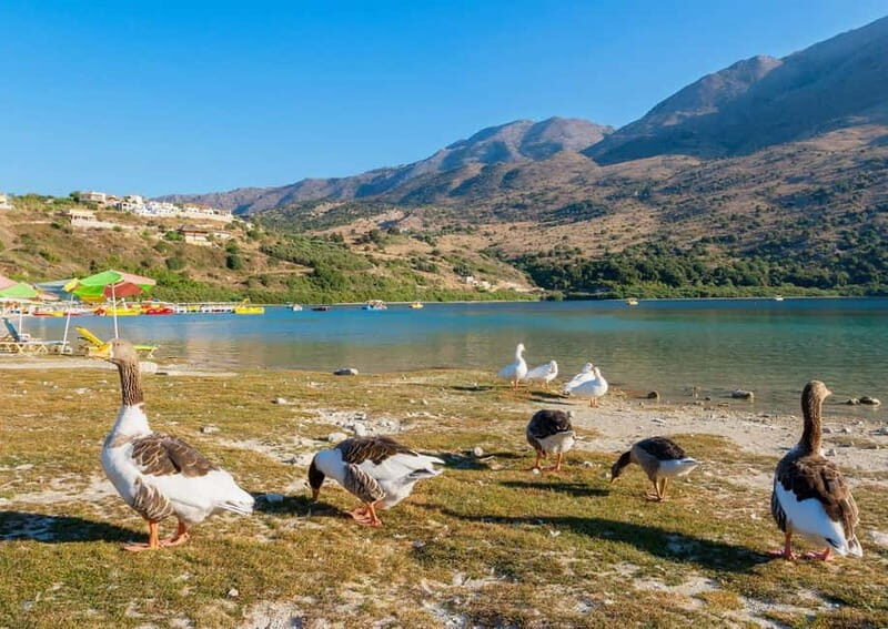 From Chania: Lake Kournas & Argiroupoli Springs Guided Tour - Discovering Argiroupoli Springs