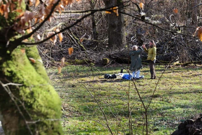 From Copenhagen: Lund and Dalby guided hike in national park - What Makes This Tour Stand Out?