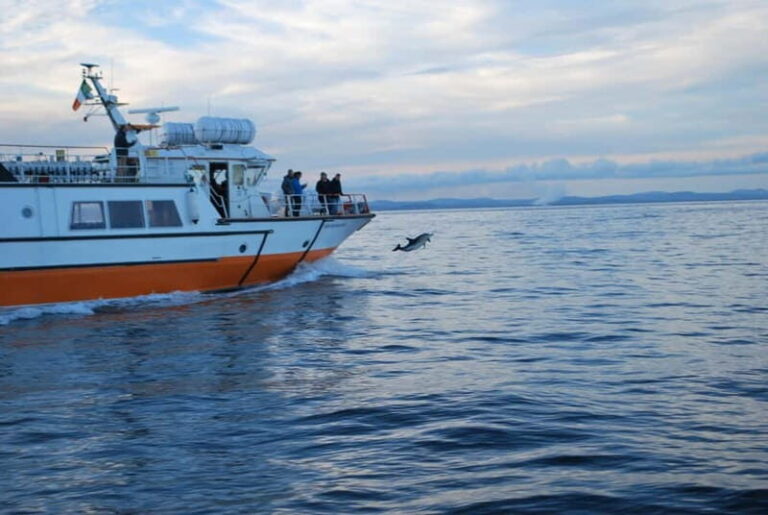 From Cork: Fastnet Rock Lighthouse & Cape Clear Island Tour - What We Love About This Tour