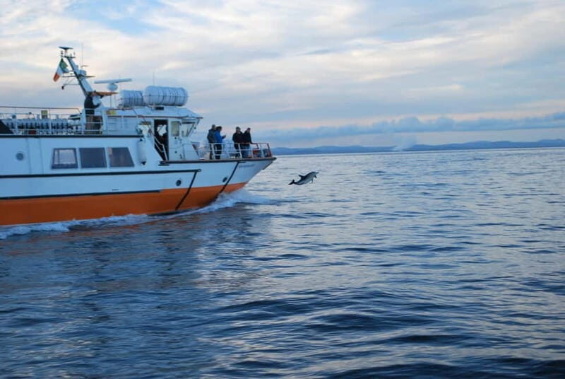 From Cork: Fastnet Rock Lighthouse & Cape Clear Island Tour - What We Love About This Tour