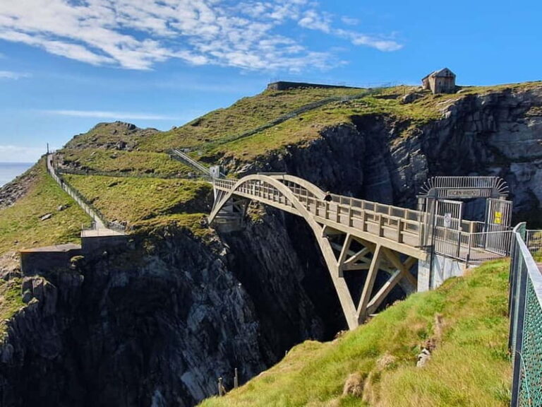 From Cork: West Cork to Mizen Head Guided Full Day Tour - What to Expect on the Day