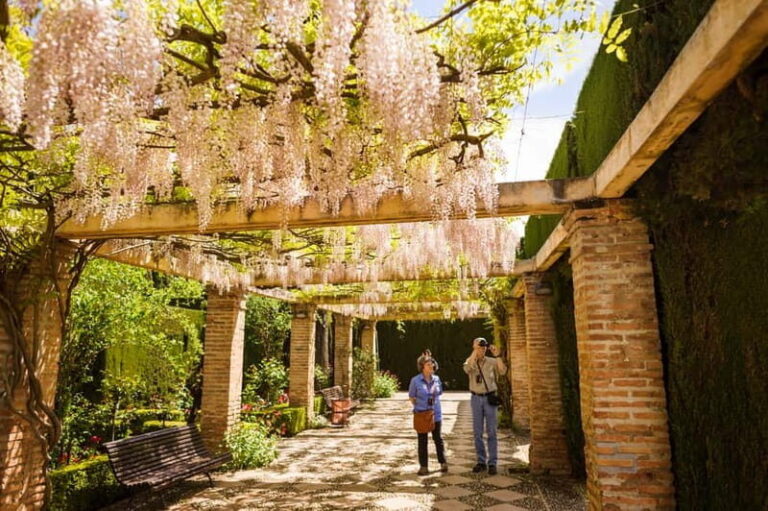 From Costa del Sol: Granada Full-Day Tour - The Value of This Tour