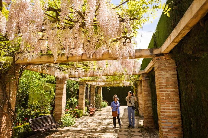 From Costa del Sol: Granada Full-Day Tour - The Value of This Tour