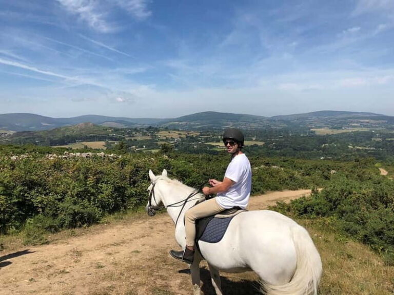 From Dublin: Wicklow, Powerscourt, and Glendalough Day Tour - Final Thoughts