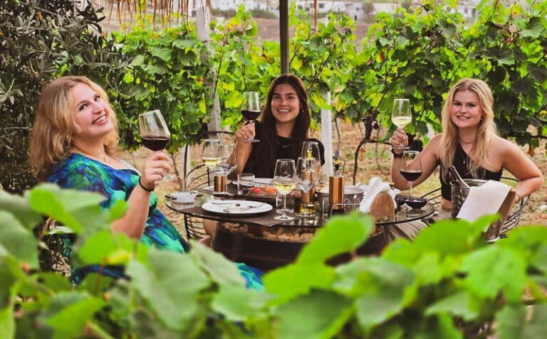 From Durres: Countryside Vineyards Wine & Food Tasting Tour - The Experience of Small-Group Tours