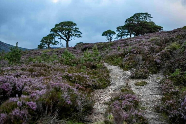 From Edinburgh: 4,000ft Mountain Hike - Scottish Highlands - Practical Details & What to Know Before You Go