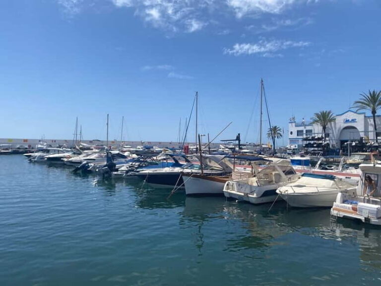 From Estepona, Mijas, Marbella: Marbella Tour Private Transport Tapas Drinks - Why This Tour Works Well