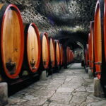 From Florence: Chianti Wine Tour with Driver-Guide - What’s Included and What’s Not