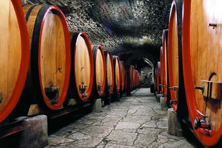 From Florence: Chianti Wine Tour with Driver-Guide - What’s Included and What’s Not