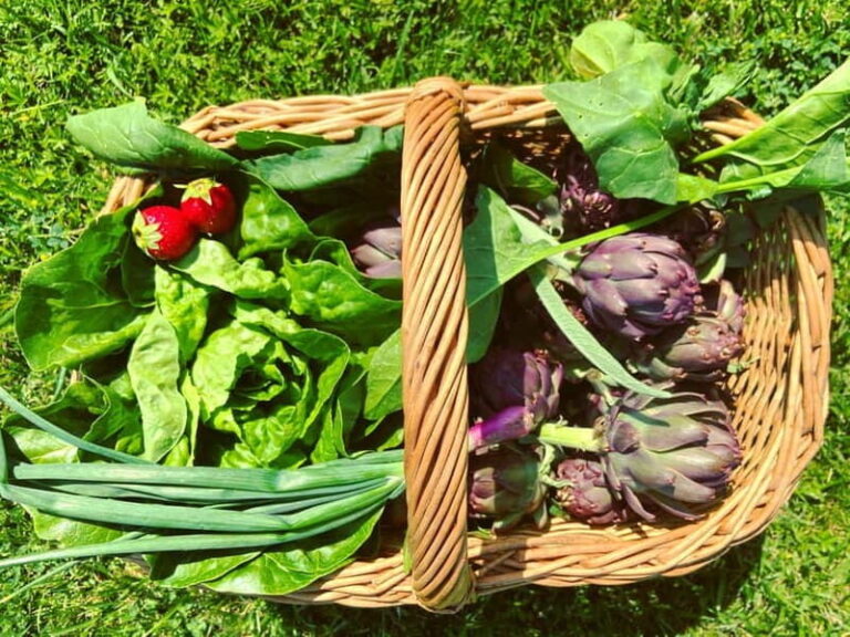 From Florence: Cooking Experience at hilltop farm in Tuscany - Starting Point and Transport Logistics
