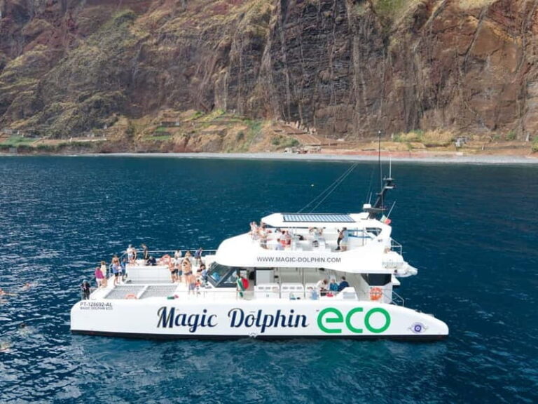 From Funchal: Ecological Catamaran Dolphin Whale Watching - The Experience from a Traveller’s Perspective