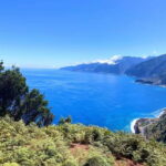 From Funchal: Southern Madeira Villages & Cliffs Tour - Why This Tour Might Be Perfect for You