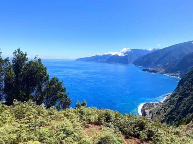 From Funchal: Southern Madeira Villages & Cliffs Tour - Why This Tour Might Be Perfect for You