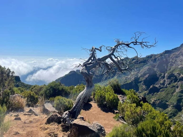 From Funchal: Transfer to Pico do Arieiro Trail - The Details of the Journey: What to Expect