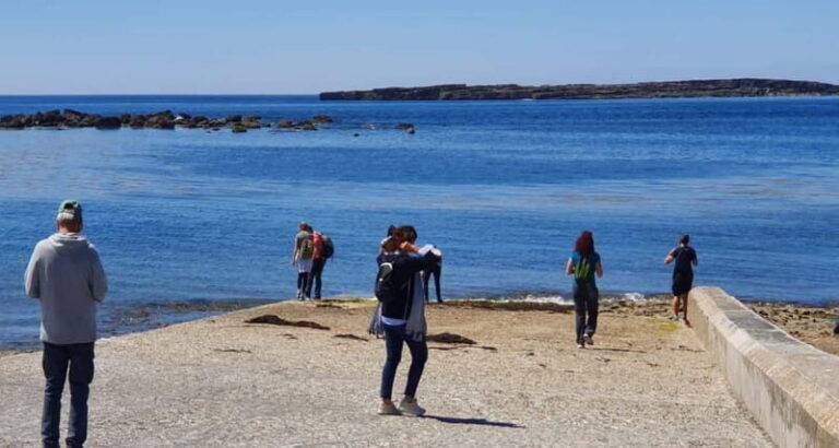 From Galway; Aran Islands day Tour & Cliffs of Moher cruise - Transportation & Logistics