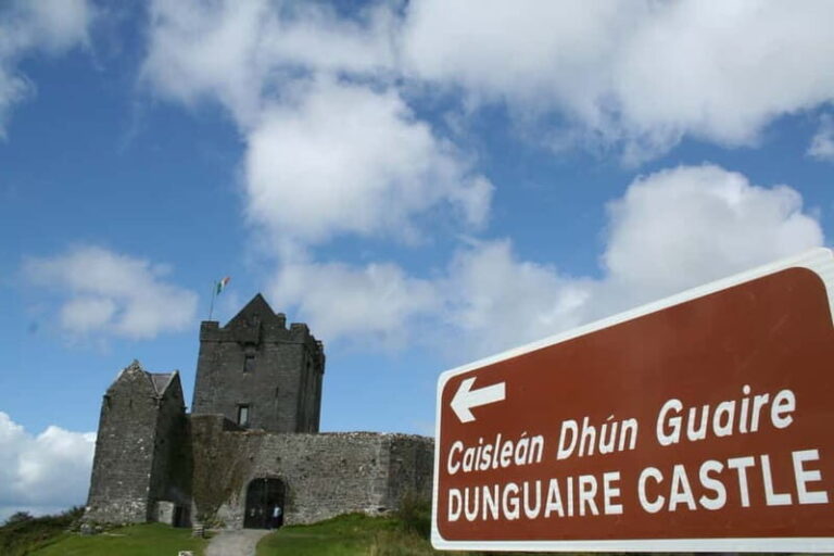 From Galway: Cliffs of Moher and The Burren Full Day Tour - Who Is This Tour Best For?