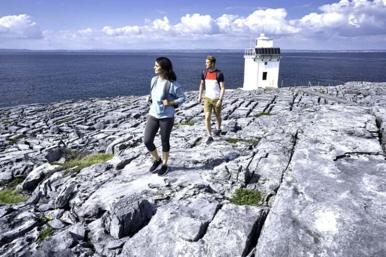 From Galway: Connemara, Aran Islands, Cruise & Burren tour - What to Expect from the Transportation and Guides