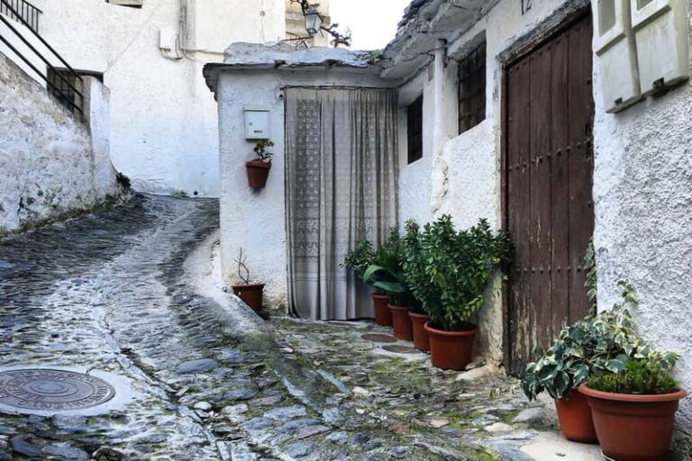 From Granada: Alpujarra Mountain Villages Tour - First Stop: Lanjarón