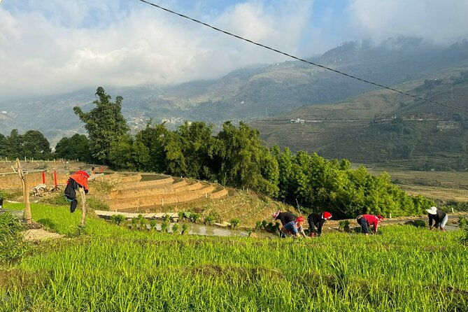From Ha Noi: 3 Days and 2 Nights Sapa Trek with Local Guide - Key Points