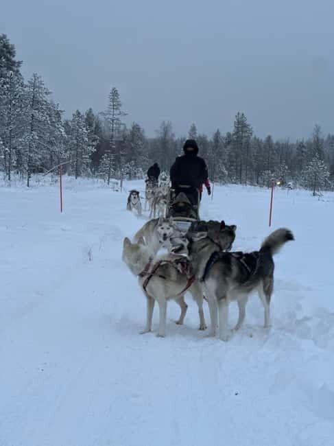 From Helsinki: 7-Day Lapland Northern Lights Tour - Who This Tour Suits Best