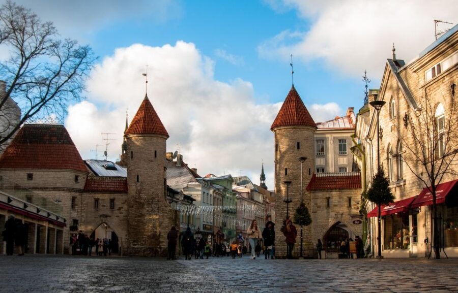 From Helsinki: Guided Day Trip to Tallinn by Ferry & VIP Car - What’s Included & What’s Not