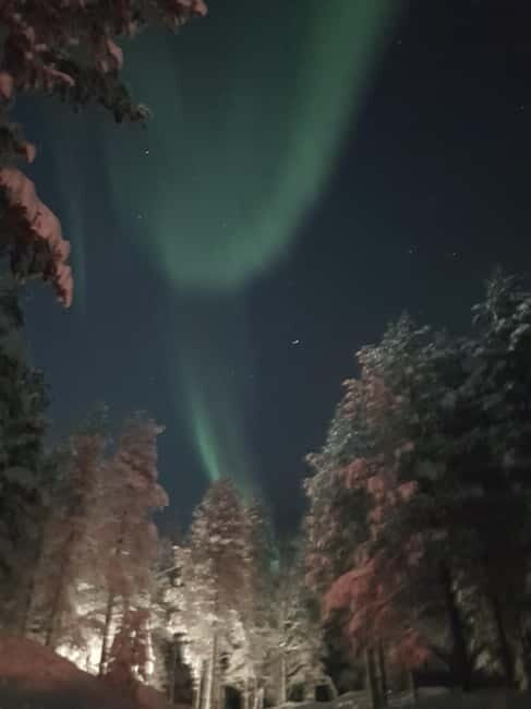 From Helsinki: Guided Forest Walk in the dark with campfire - Practicalities and Logistics