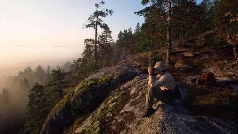From Helsinki: Private Sauna + 3-Course Finnish Dinner - Analyzing the Value