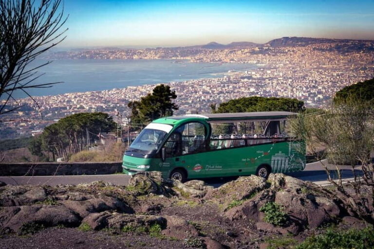 From Herculaneum : Panoramic Open tour Destination Vesuvio - Value for Money