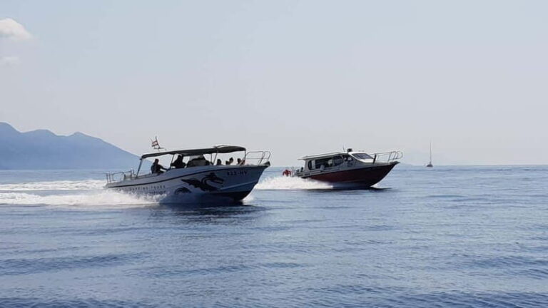 From Hvar: Unforgetable Tour to the Island Vis and Blue Cave - Exploring the Itinerary in Depth