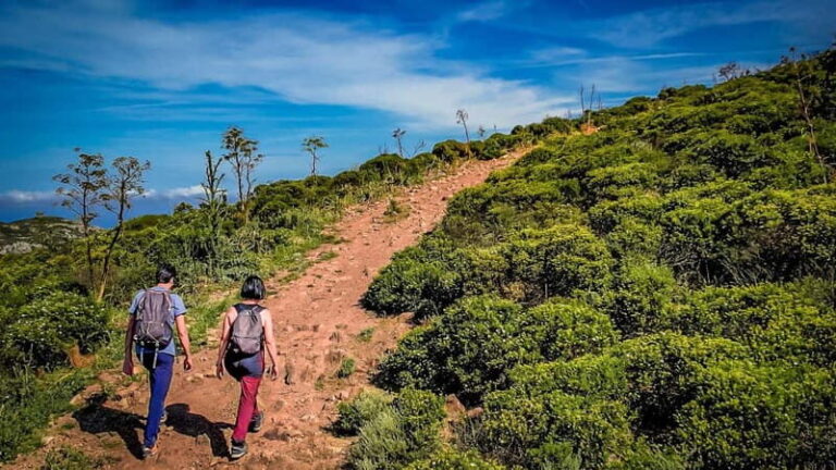 From Iglesias: jeep tour with trekking - Who Should Consider This Tour?