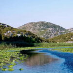 From Kotor and Tivat: Private Tour to Skadar Lake - What’s Included and What’s Not