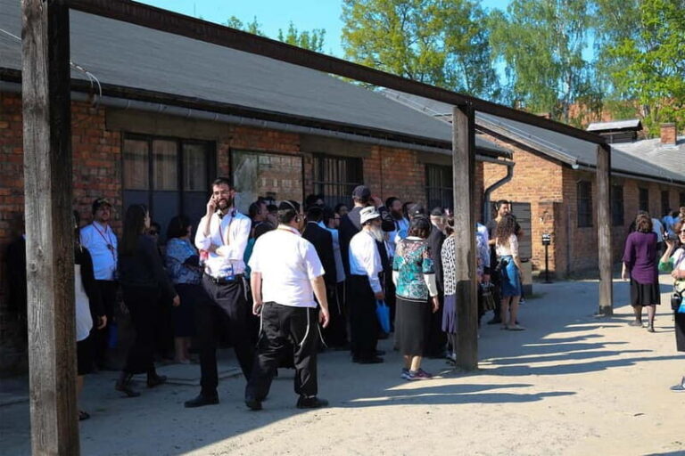 From Krakow: Auschwitz-Birkenau Guided Tour & Pickup Options - What’s Included and What to Budget For