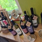 From Krakow: Wine Tasting at Vineyard - Who Will Enjoy This Experience?