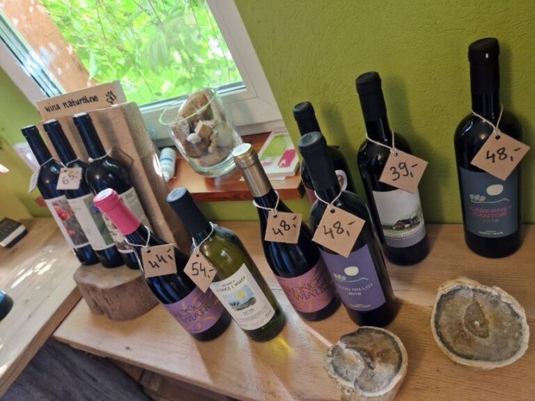 From Krakow: Wine Tasting at Vineyard - Who Will Enjoy This Experience?