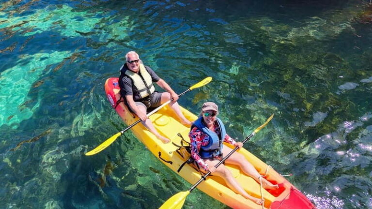 From Lagos: Ponta da Piedade Caves Kayak Tour from Catamaran - What to Expect on the Tour
