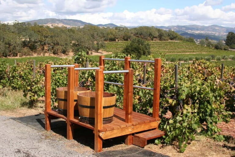 From Lake Garda: Valpolicella Wine & Lunch Guided Trip - Exploring the Itinerary in Detail