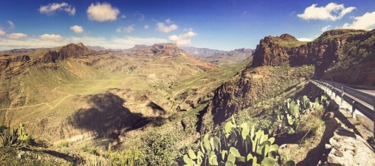 From Las Palmas: Fataga, Finca de Aloe Vera and Mercado Puerto de Mogán - Why This Tour Works for Travelers